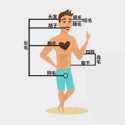 下巴突然長一根很長的毛|下巴为什么总是长一根毛？